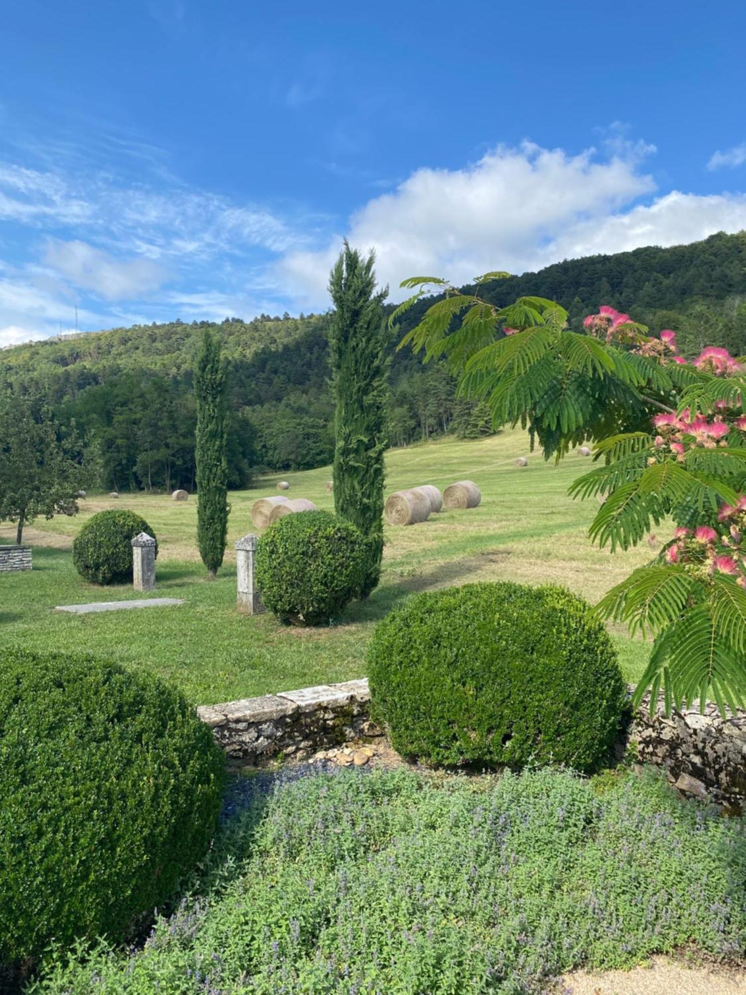 Clos De Mont July, Chambres Avec Vue Et Terrasse Dans Demeure Historique Ceyzeriat Buitenkant foto
